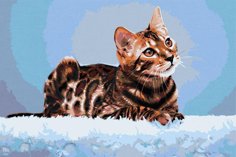 Бенгальская кошка Раскраска картина по номерам на холсте 40х60  #1