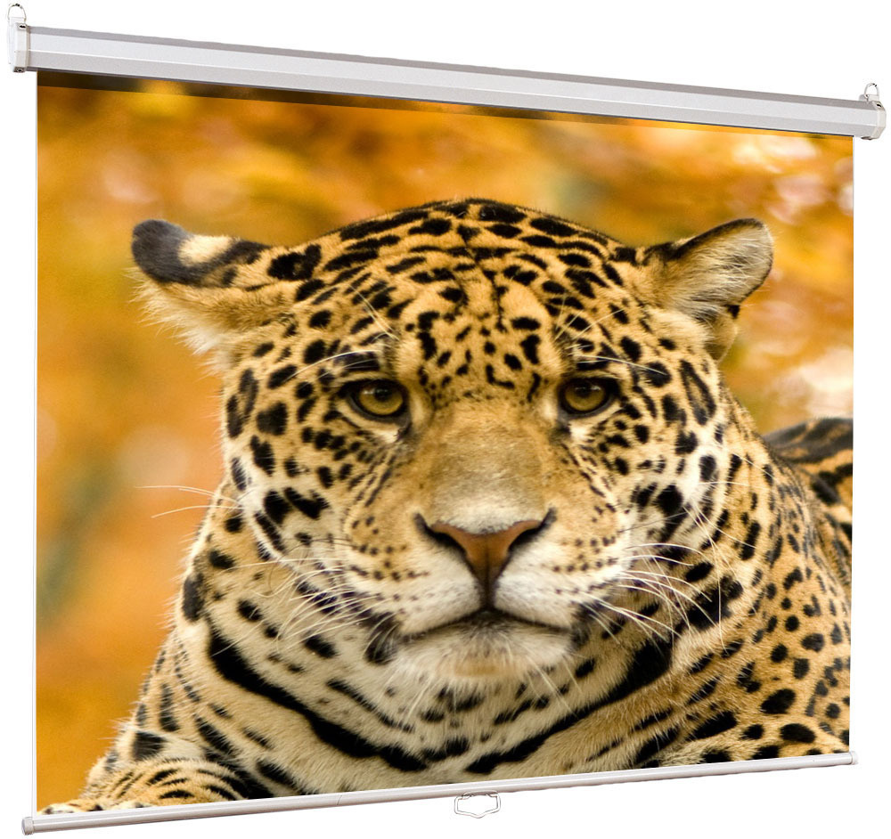 Проекционный экран Lumien Eco Picture 150x150cm LEP-100101 #1