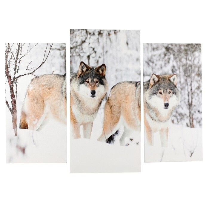 Модульная картина "Волки в снегу" (2-25х50, 30х60 см) 60х80 см #1