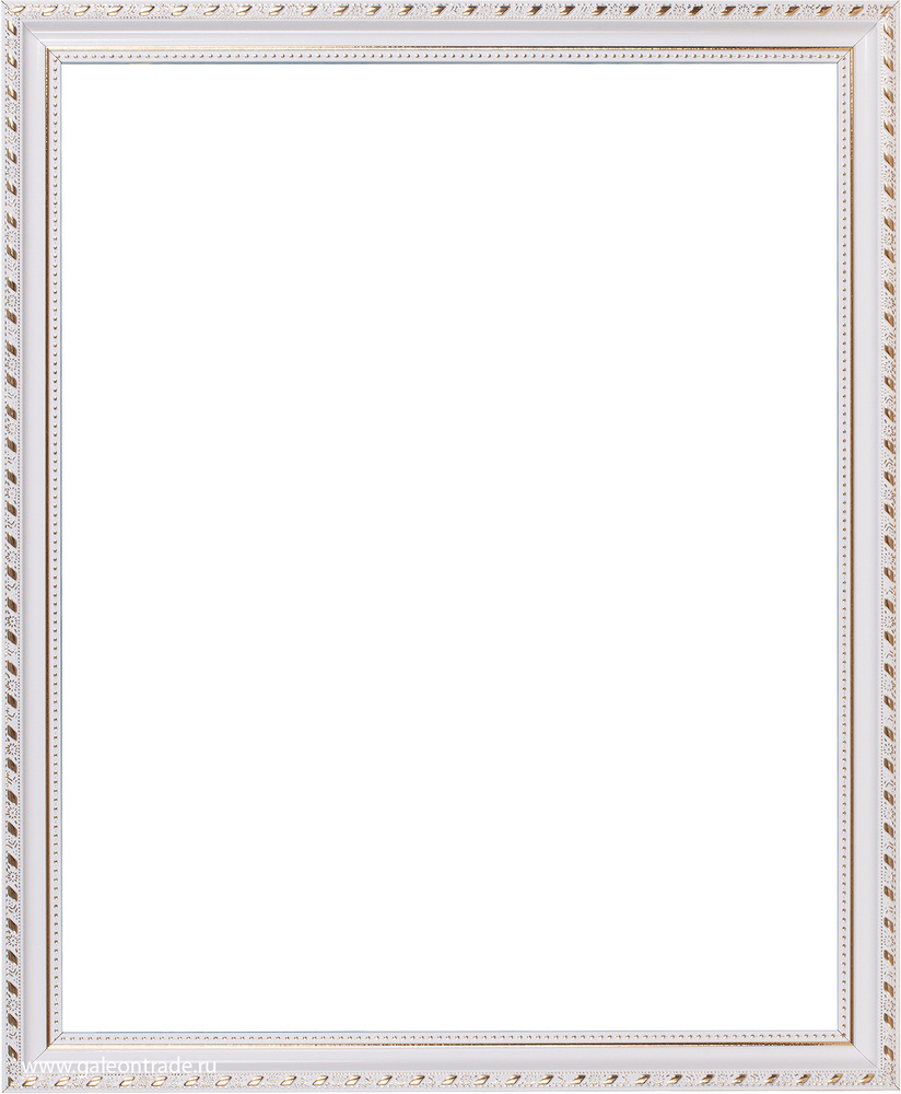 Рамка для картины на холсте 40х50 см, белая с золотом #1