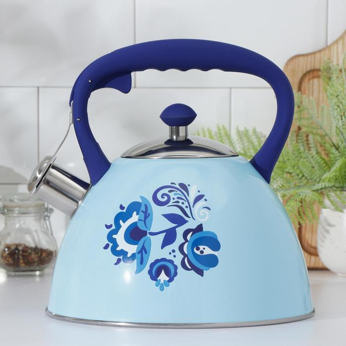 Чайник со свистком из нержавеющей стали Доляна Свиристель, 3 л, цвет голубой  #1