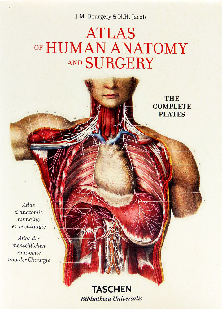 Atlas of Human Anatomy and Surgery | Bourgery Jean Marc, Jacob Nicolas Henri #1