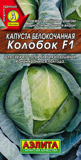 Капуста белокочанная Колобок, хранится до полугода, для квашения и потребления в свежем виде  #1