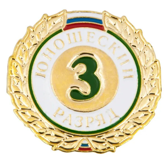 (2 шт. комплект) Значок, знак 3 юношеский разряд, знак спортивного разряда  #1