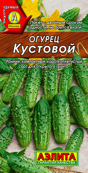 Огурец Кустовой раннеспелый для открытого грунта засолочный  #1