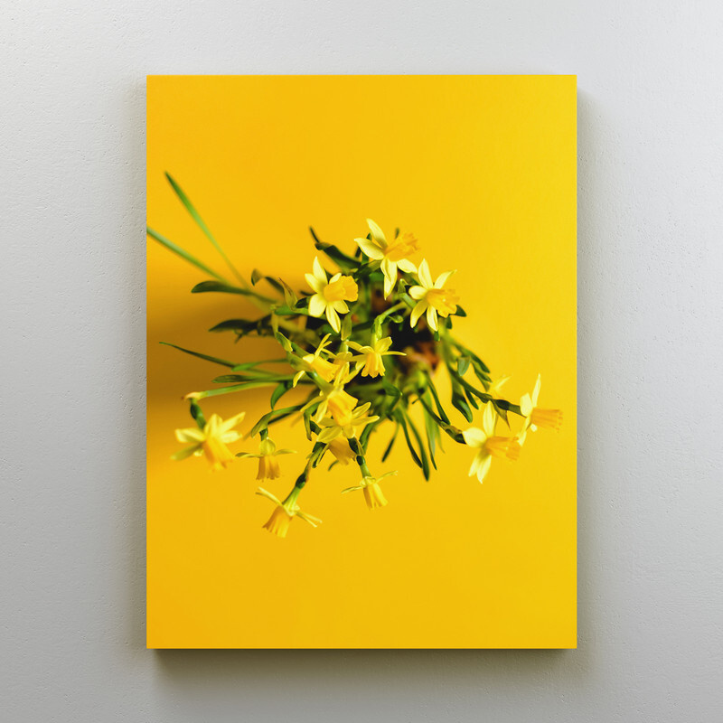 Интерьерная картина на холсте "Жасмин голоцветковый на желтом" на подрамнике 45x60 см  #1