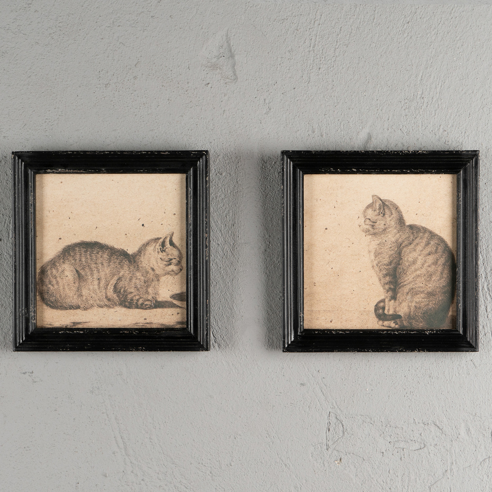 Набор из 2-х картин-принтов Set Of 2 Frames With Cats Without Glass #1