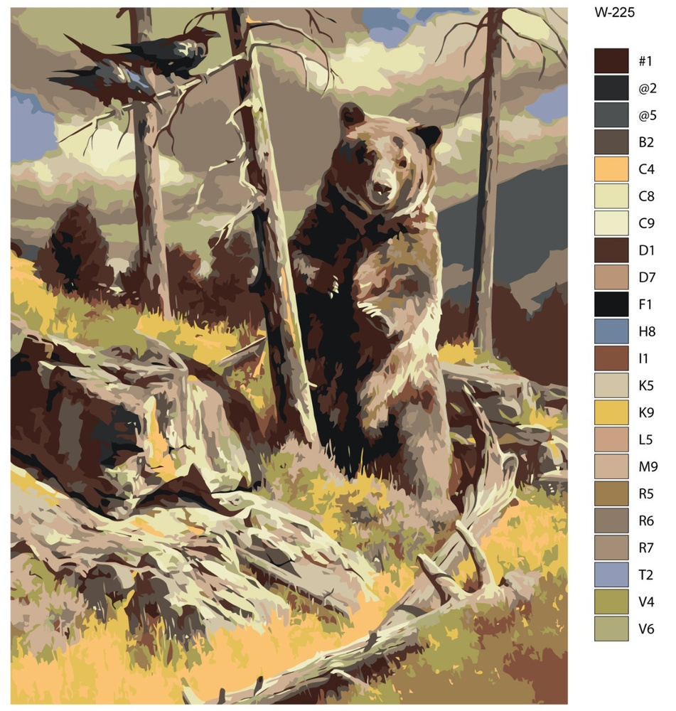 Картина по номерам W-225 "Медведь" 40х50 #1