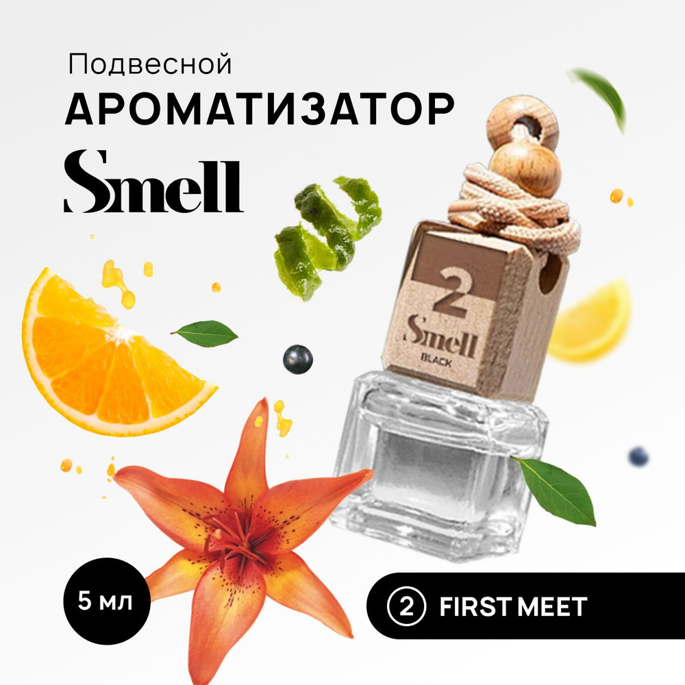 Ароматизатор для автомобиля BLACK SMELL FIRST MEET - Первая встреча, подвесной на зеркало в машину.  #1