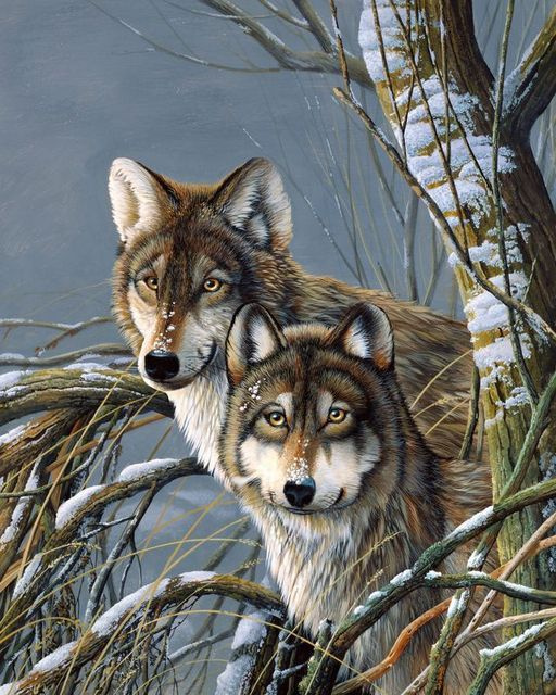 Набор для вышивания крестом 40х50 см RADUGA Два Волка в Зимнем Лесу Животные  #1
