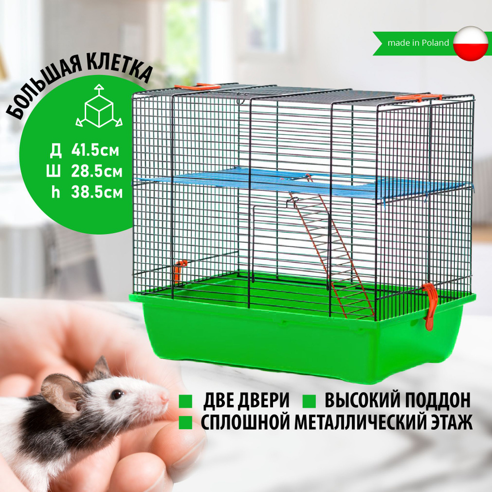 Клетка для грызунов Inter-Zoo G041 GINO l (41.5 х 28.5 х 38.5 см / прут: эмаль черная; поддон: зеленый) #1