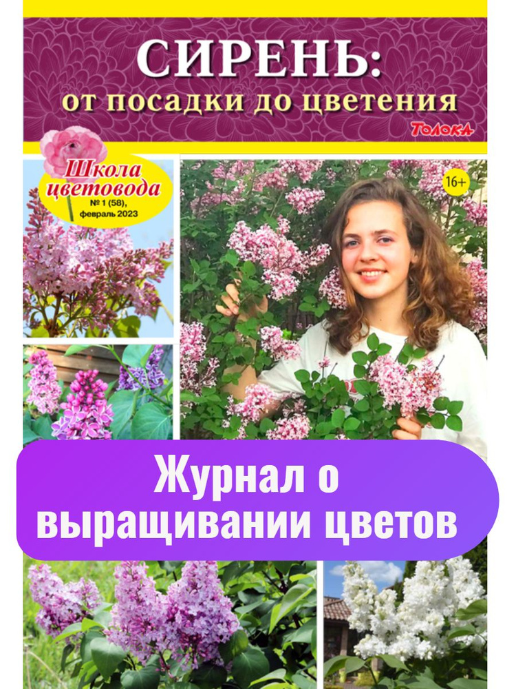 ЦВЕТОВОДСТВО, САДОВОДСТВО И ЛАНДШАФТНЫЙ ДИЗАЙН. | ВКонтакте | Flower garden, Garden, Plants