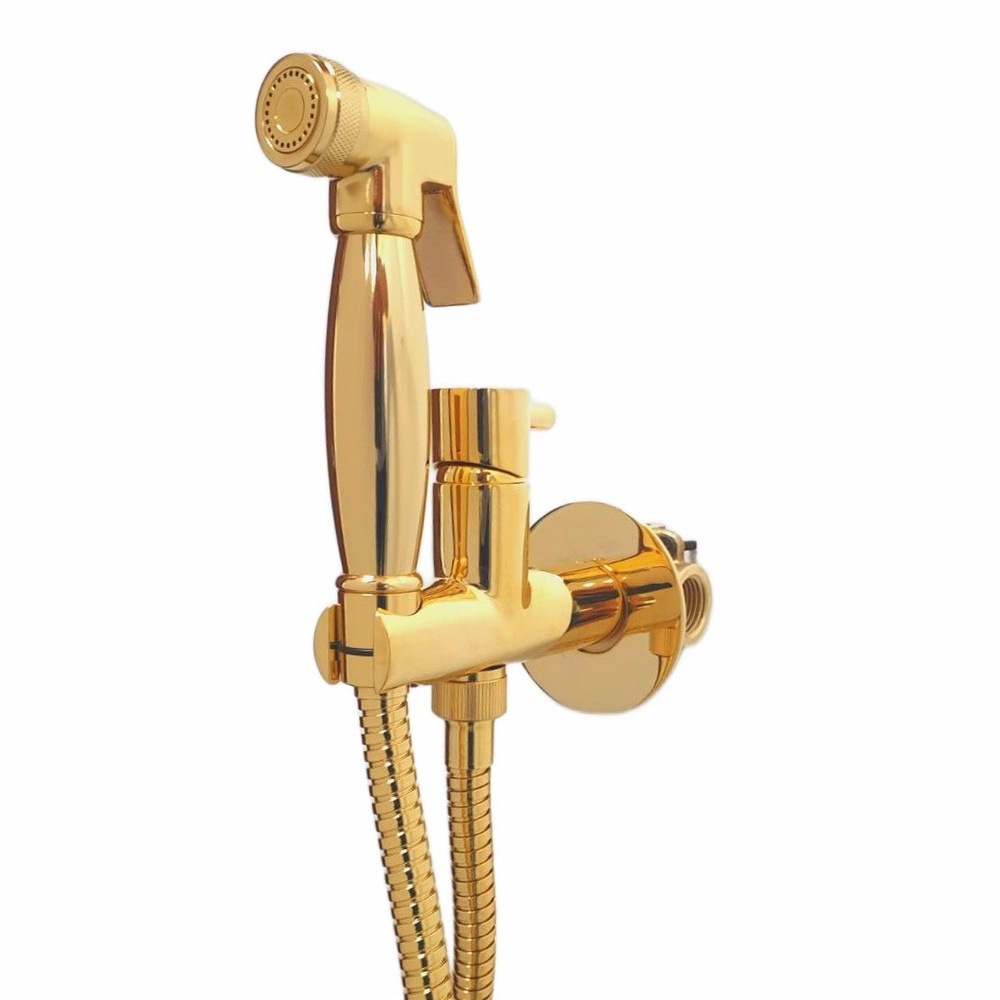 Гигиенический душ со смесителем Webert Elio EL870301010, золото #1