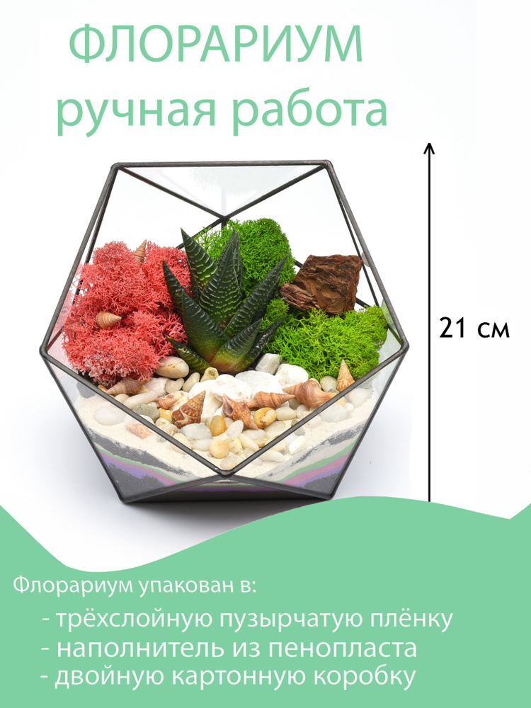 Флорариум стеклянный набор с растениями #1