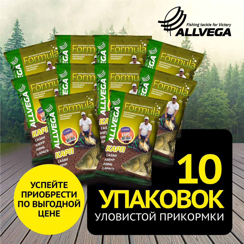 Прикормка для рыбалки ALLVEGA "Formula КАРП СЛИВА" 10 пакетов по 900 гр. / прикормка на карпа/ аромат #1