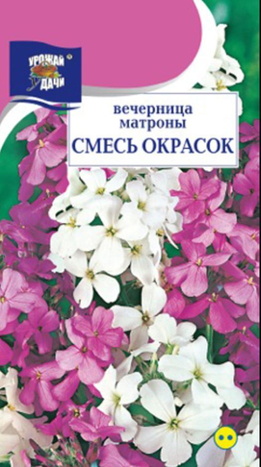 Вечерница Матроны (Ночная фиалка) СМЕСЬ (Семена УРОЖАЙ УДАЧИ, 0,3 г семян в упаковке)  #1