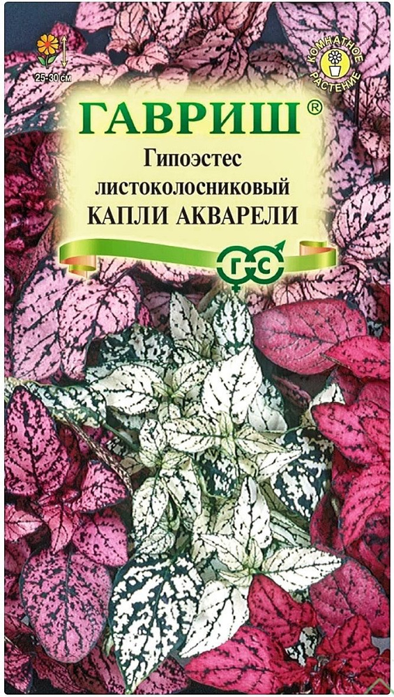 Гипоэстес Капли акварели, 1 пакет, семена 4 шт, Гавриш #1