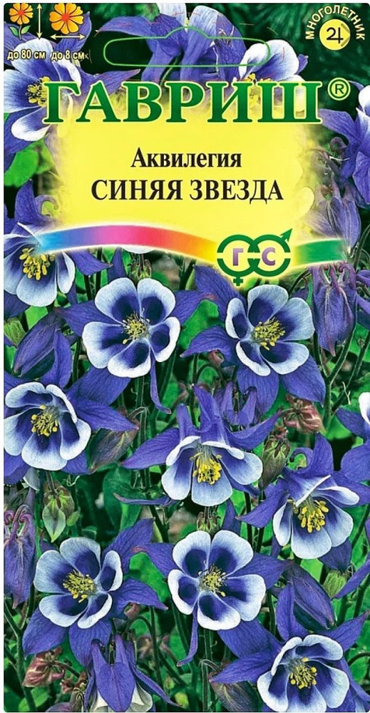 Аквилегия Синяя Звезда, 1 пакет, семена 0,05 гр, Гавриш, культурная водосбор  #1