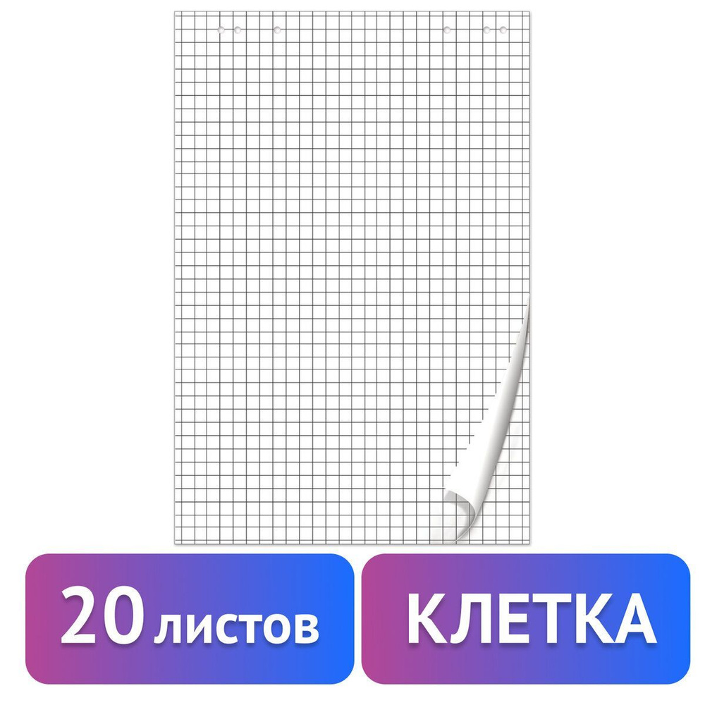 Бумага для флипчарта Brauberg плотная, блокнот 20 листов, клетка, 67,5х98 см, 80 г/м2  #1