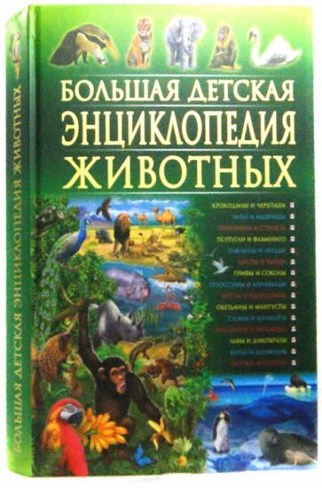 Рублев, Скиба - Большая детская энциклопедия животных | Рублев Сергей Владиславович, Скиба Тамара Викторовна #1