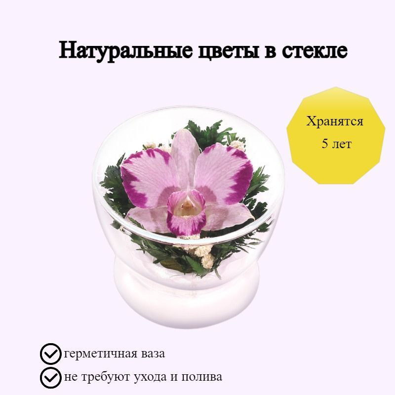 Композиция из натуральных цветов в стекле NFP, 7х8 см #1