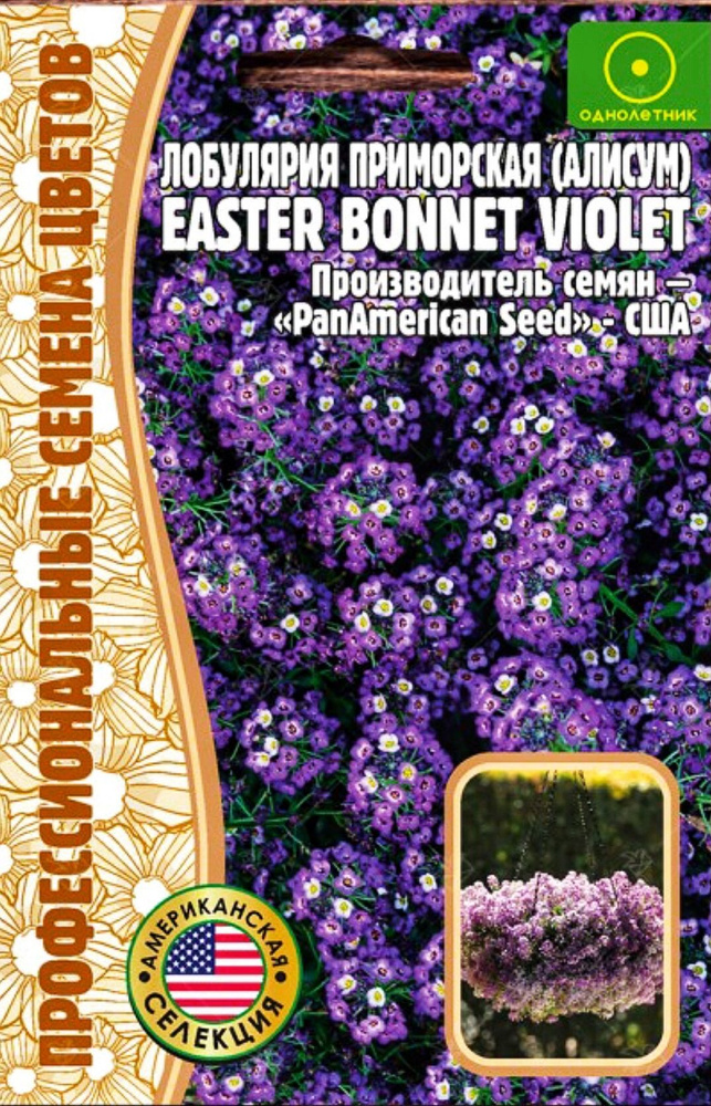 Алиссум (лобулярия) Easter Bonnet Violet, семена 20 шт, 1 пакет, ЧК #1