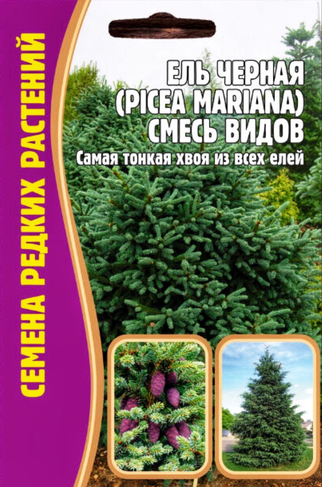 Ель Черная (Picea mariana) смесь видов, семена 20 шт, 1 пакет, ЧК #1