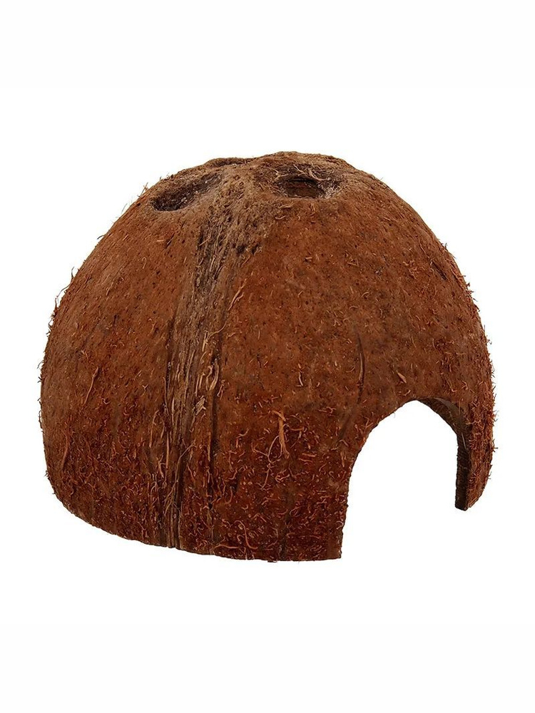 REPTI PLANET Укрытие в виде кокоса, размер L (большой) #1