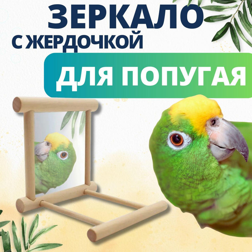 Зеркало для попугая с жёрдочкой в клетку, деревянная игрушка для птиц  #1