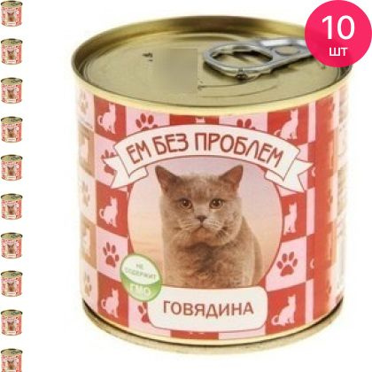 Влажный корм для кошек Ем без проблем говядина 250г (комплект из 10 шт)  #1