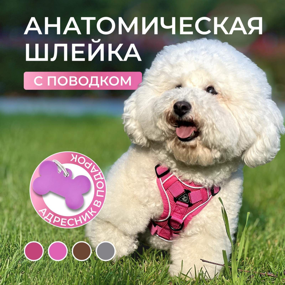 Шлейка для собак мелких и средних пород, кошек Zappy с поводком для прогулки, розовая  #1