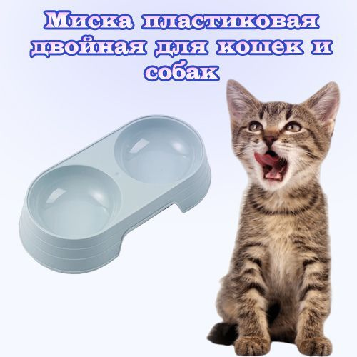 Миска пластиковая двойная для животных / Миска для кошек и собак, бирюзовый  #1