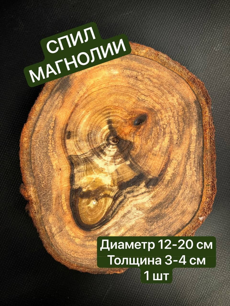 Спил дерева Магнолия 12-20*3-4см 1шт #1