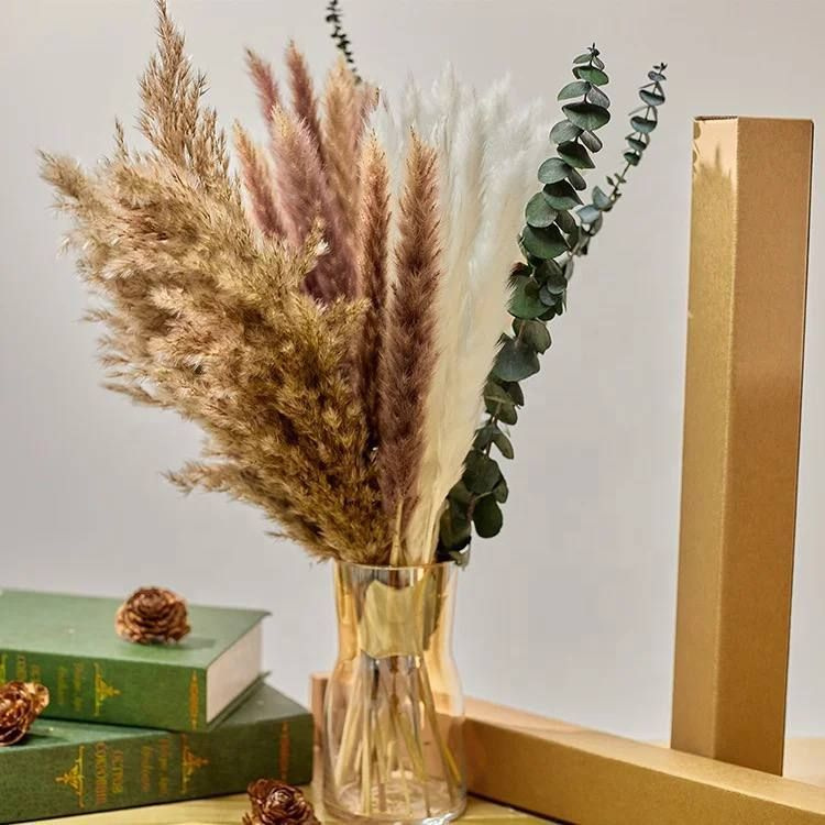 MC Сухоцветы Камыш, Пампасная трава, 45 см, 200 гр, 1 шт #1