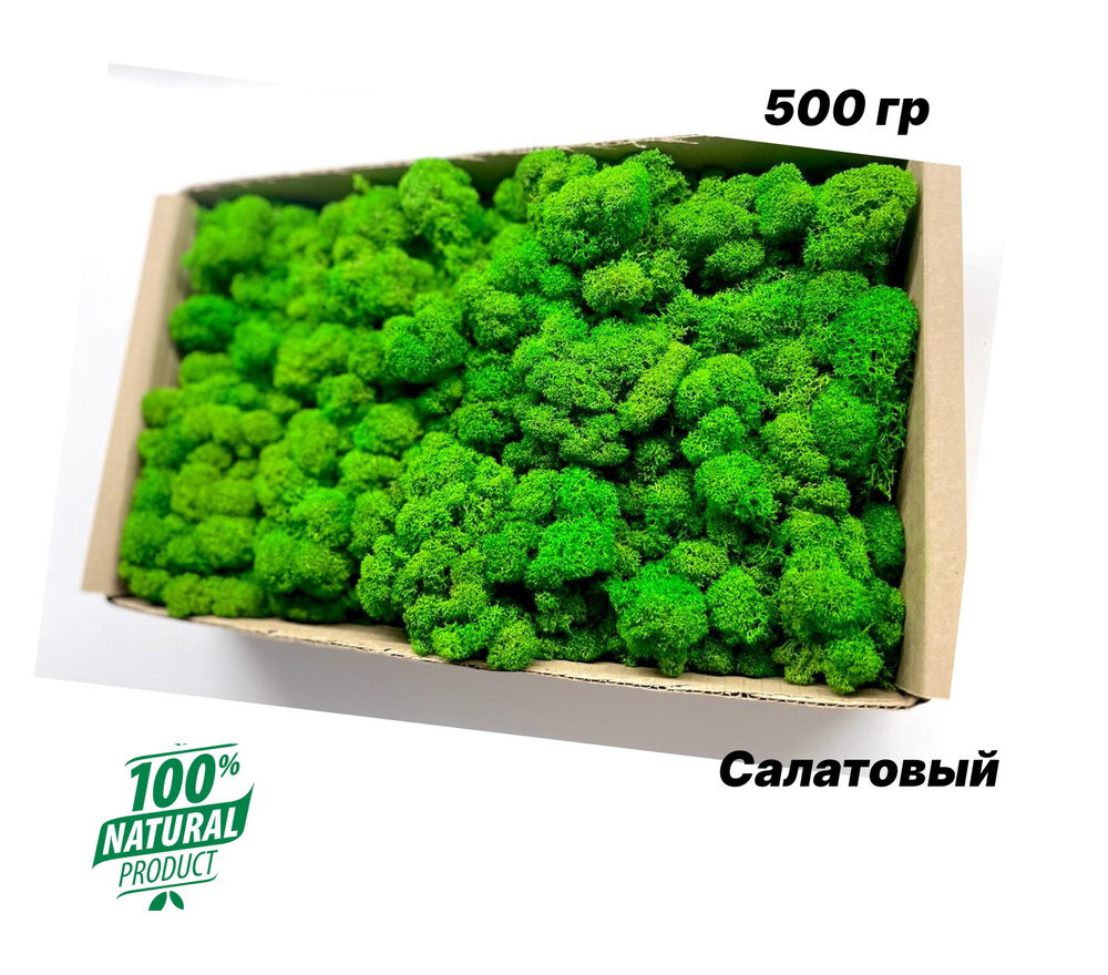 FreshMoss Стабилизированный мох Мох, 500 гр #1