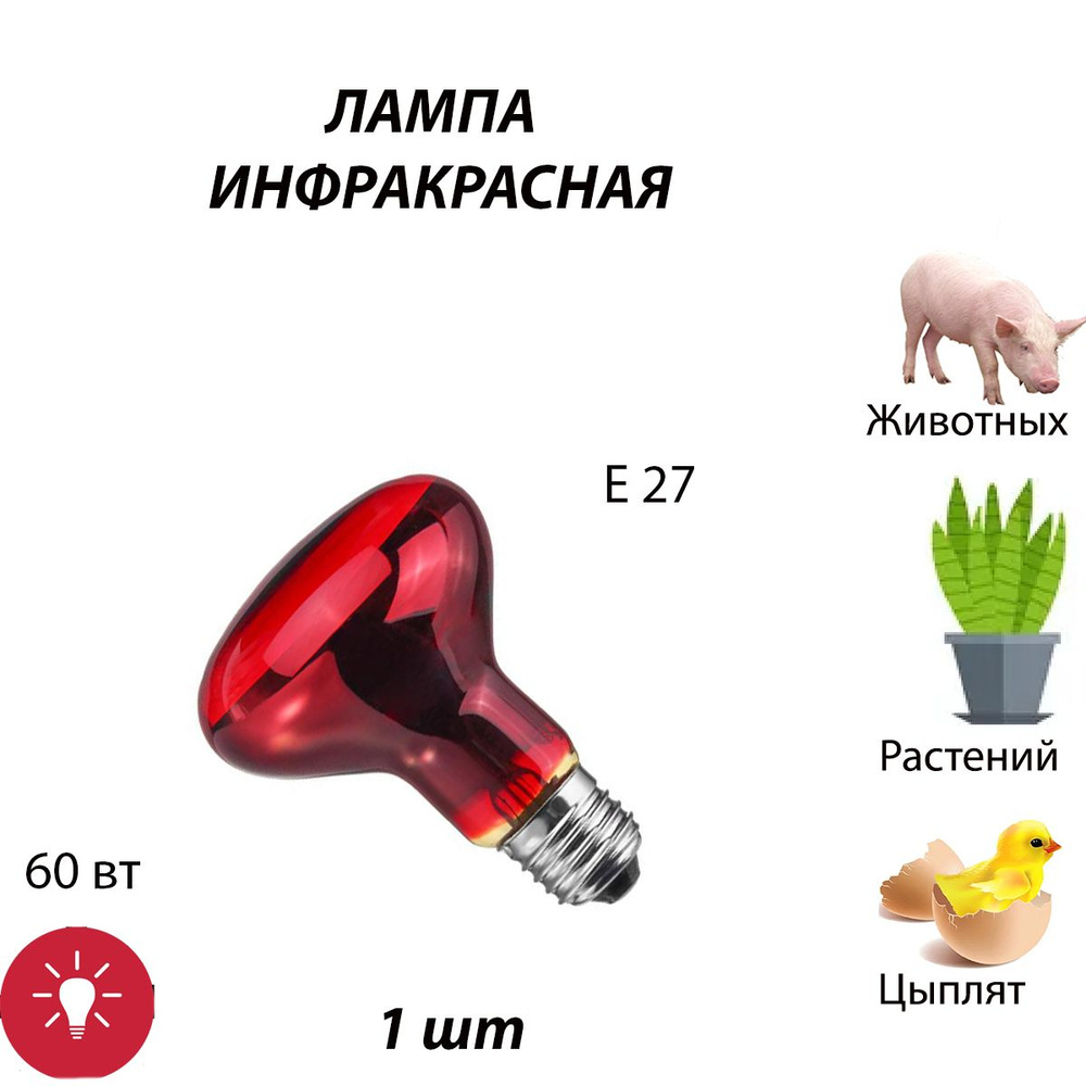 Лампа инфракрасная 1 шт для обогрева для лечения, для курятника, для растений, для птиц, для животных, #1