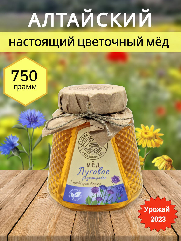 Мед луговое разнотравье натуральный Алтайский 750 грамм  #1