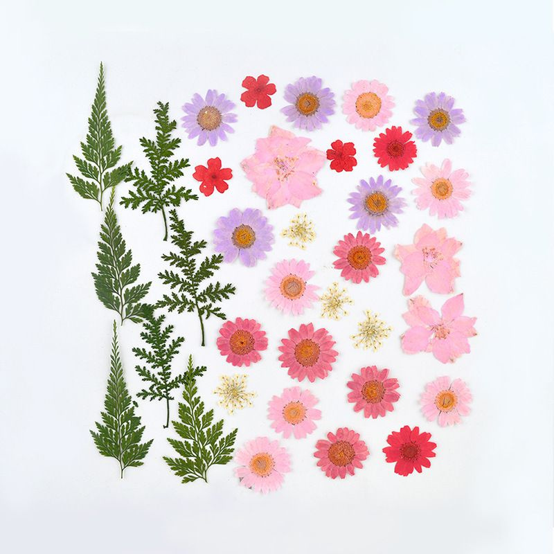 Набор натуральных сухоцветов для творчества, декора, 35 шт. 130*105 мм / сухоцветы для изготовления украшений #1