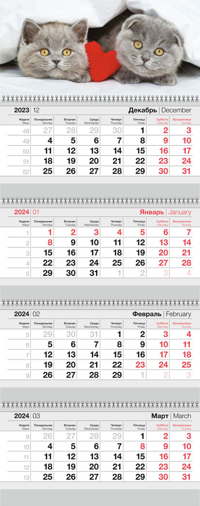 АКАДЕМИЯ КАЛЕНДАРЕЙ Календарь 2024 г., Квартальный, 30,5 x 67,5 см  #1