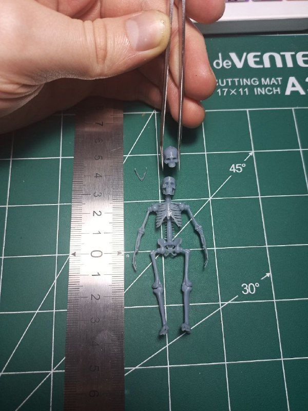 Сборная модель скелета 2ШТ в комплекте 24 масштаб #1