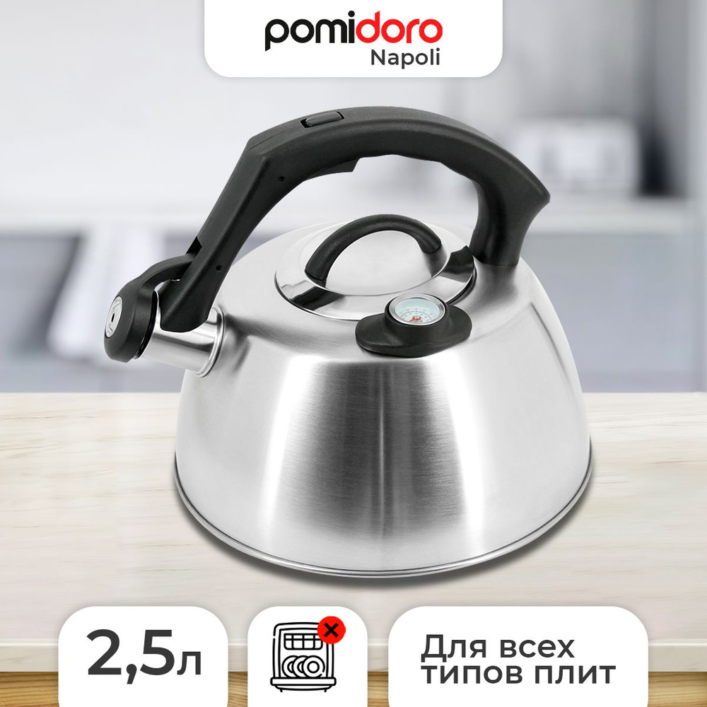 Чайник со свистком P-650205 Napoli, 2,5 л из нержавеющей стали, для индукционной, газовой, электрической #1