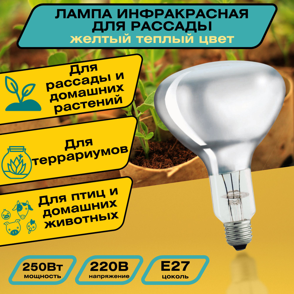 Инфракрасная лампа для растений и рассады 250 Вт, Е27, желтый теплый цвет. Также подойдет для обогрева #1