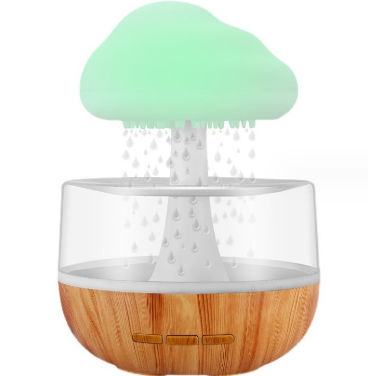 Rain cloud humidifier