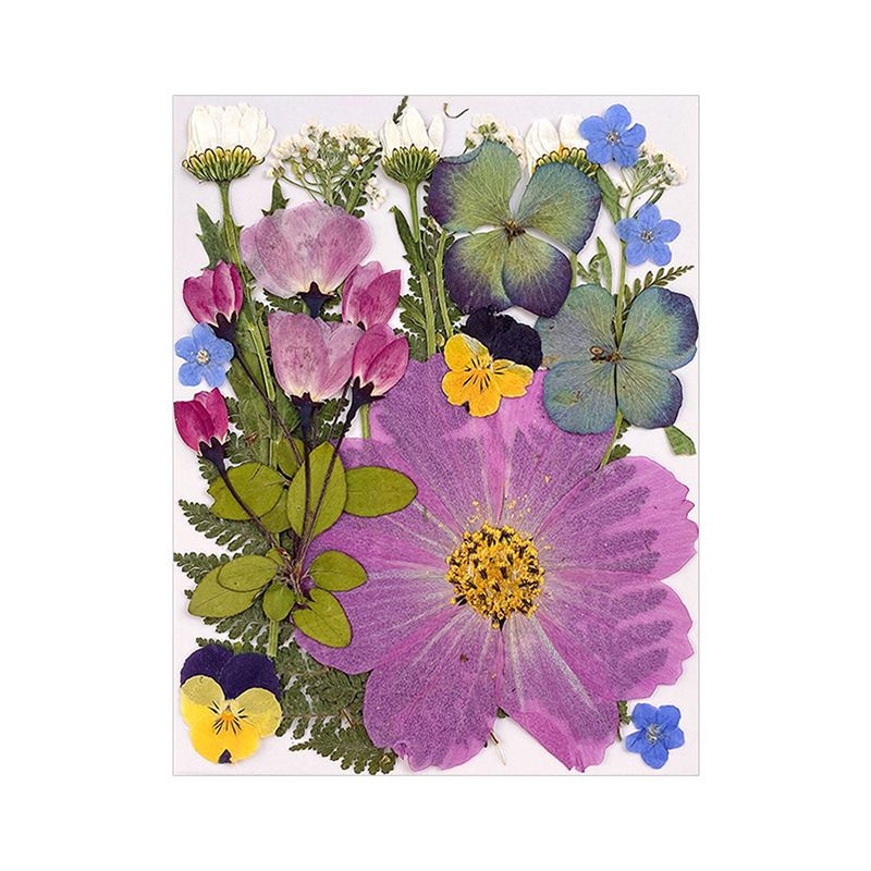 Набор натуральных сухоцветов для творчества, декора,розовый 20 шт. 130*105 мм / сухоцветы для изготовления #1