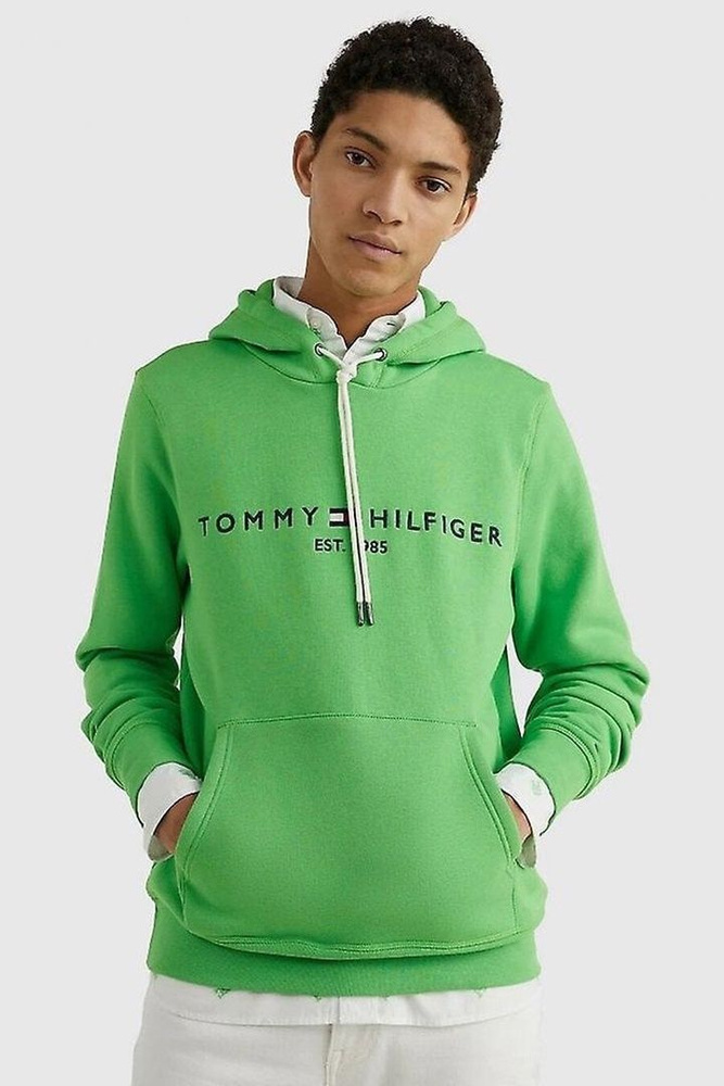 Толстовка Tommy Hilfiger #1