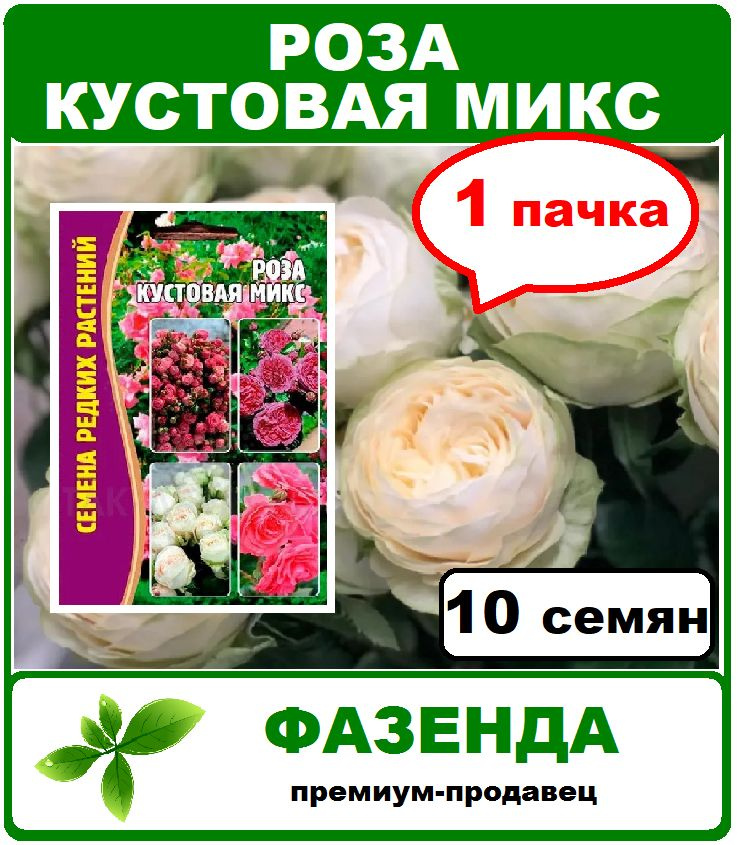 семена, роза Кустовая микс 1 пачка. Редкие Семена #1