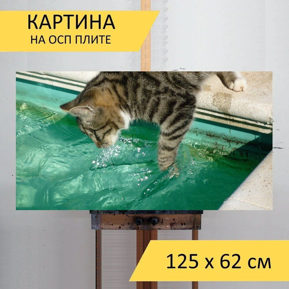 LotsPrints Картина "Кошка рыбалка в бассейне, домашний питомец, кошачий 86", 125 х 62 см  #1