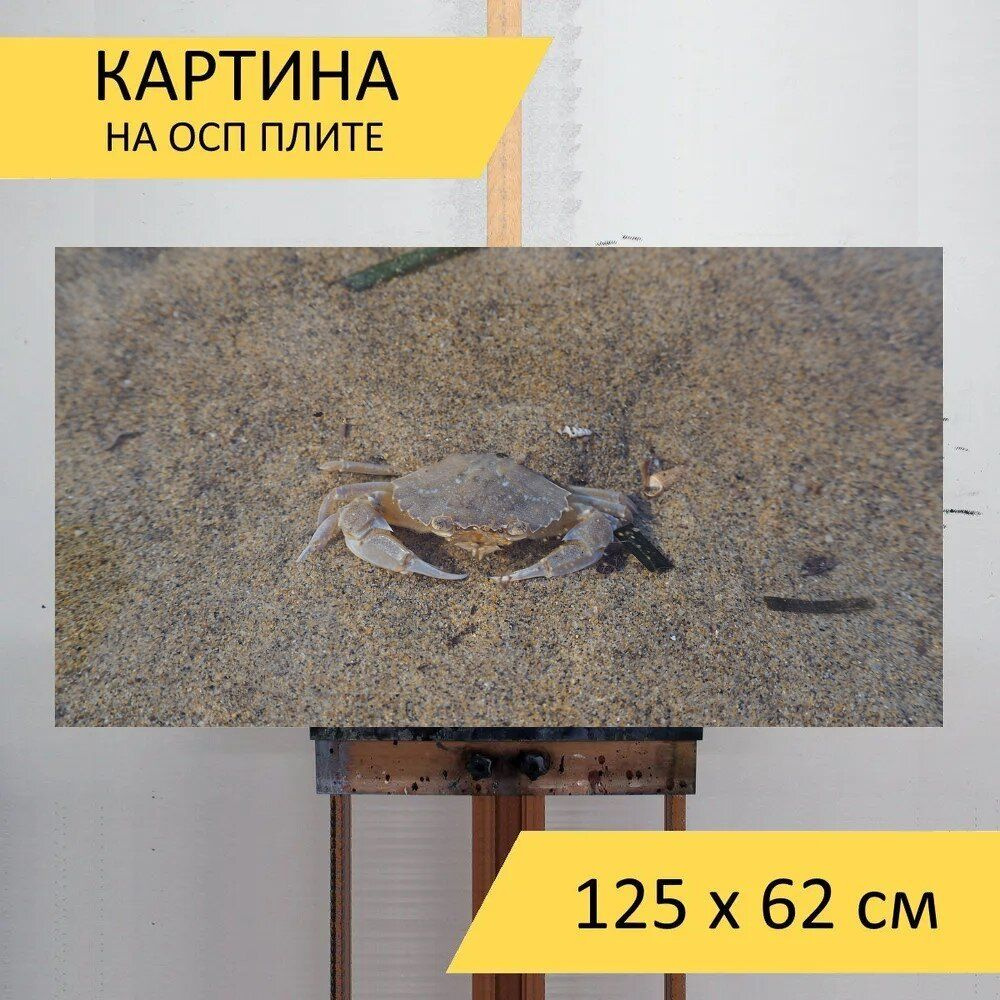 LotsPrints Картина "Краб, море, вода 62", 125  х 62 см #1