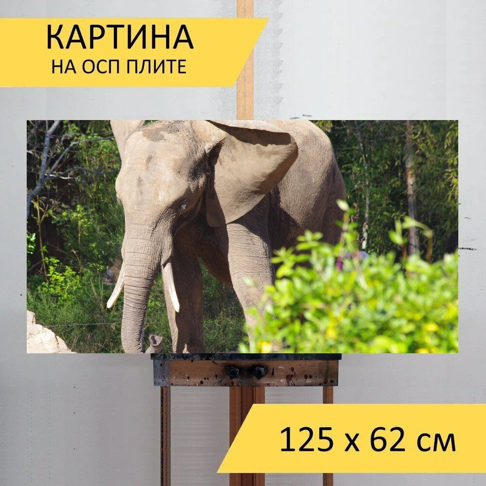 LotsPrints Картина "Слон, зоопарк, стрелка 48", 125  х 62 см #1