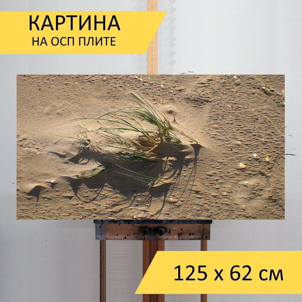 LotsPrints Картина "Песок, дюна, трава 15", 125  х 62 см #1